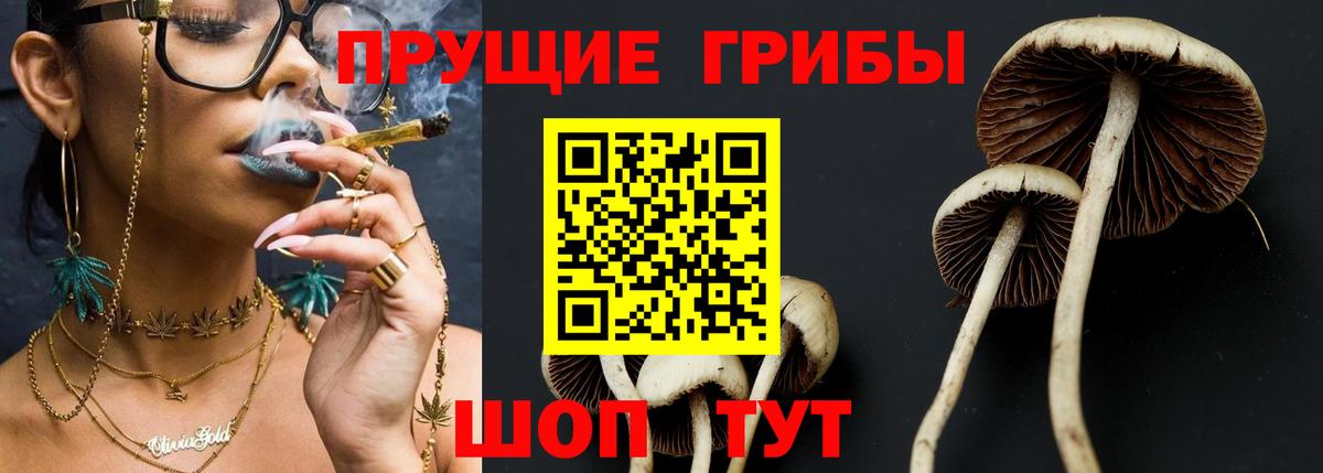 Псилоцибиновые грибы Magic Shrooms Верхний Уфалей